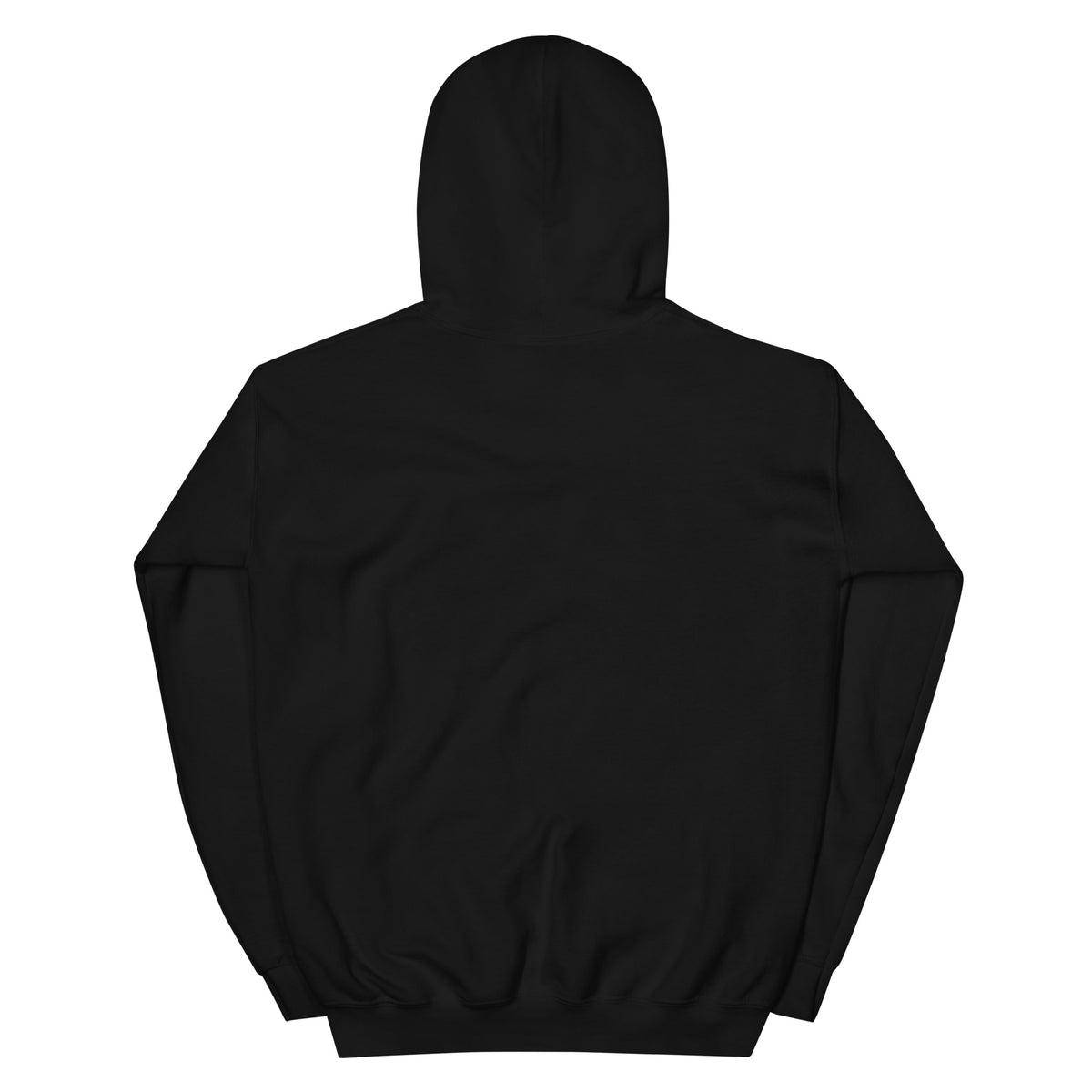 I Trust My Pet™ Chrome Rift Pullover Hoodie in Black, back view