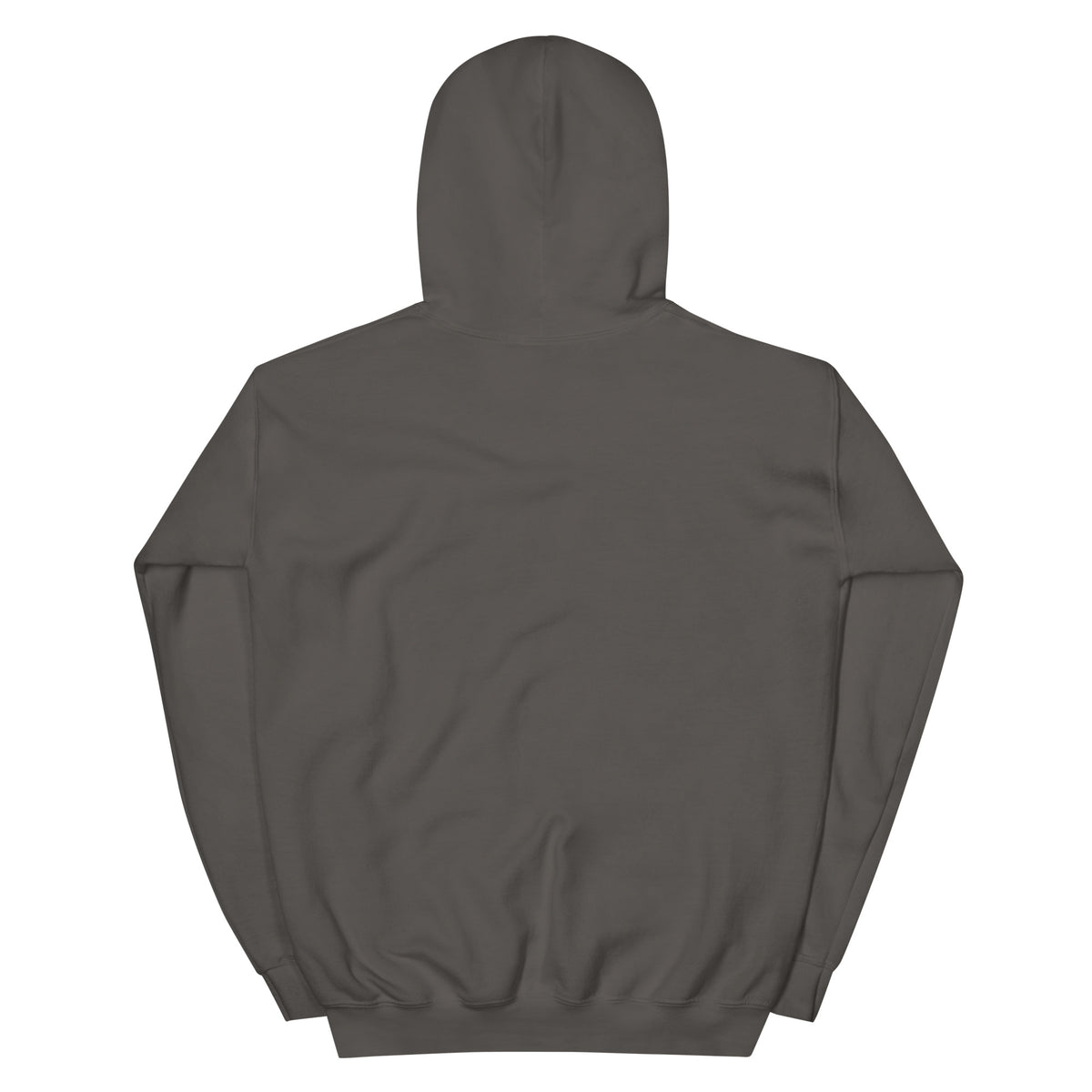 I Trust My Pet™ Chrome Rift Pullover Hoodie, back view